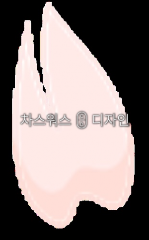 차스워스디자인 차스워스디자인